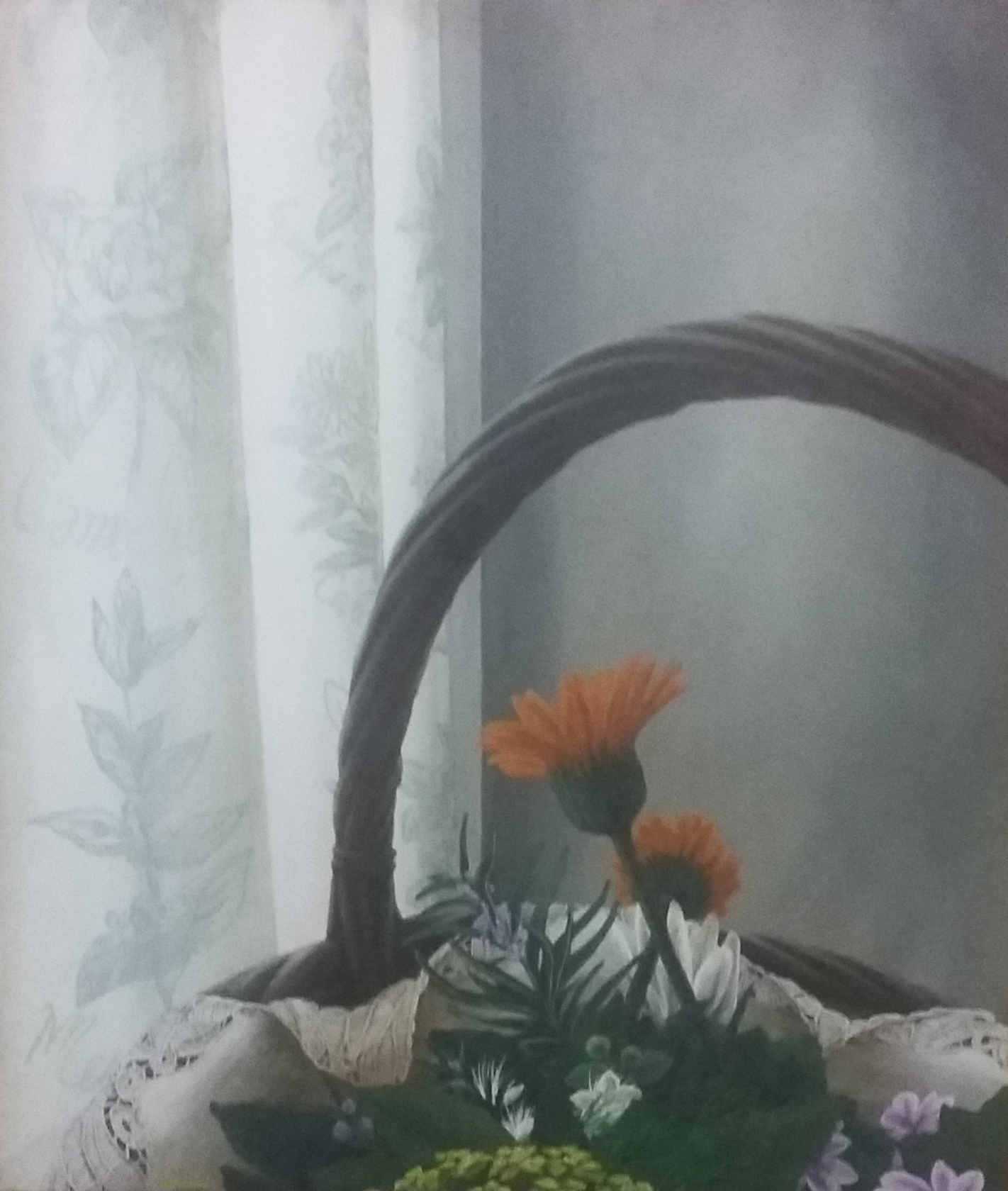 Calendula - Janet Kay Lilly