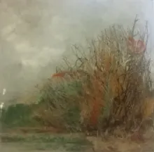 Un tulipano tra i rovi - Carla Cherchi
