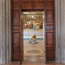 Cartasia2022-Un gorilla a Palazzo Ducale- Artista Olivier Bertrand-Francia
